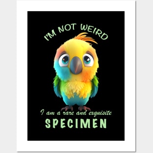 Parrot I'm Not Weird I'm A Rare and Exquisite Specimen Cute Adorable Funny Quote Posters and Art